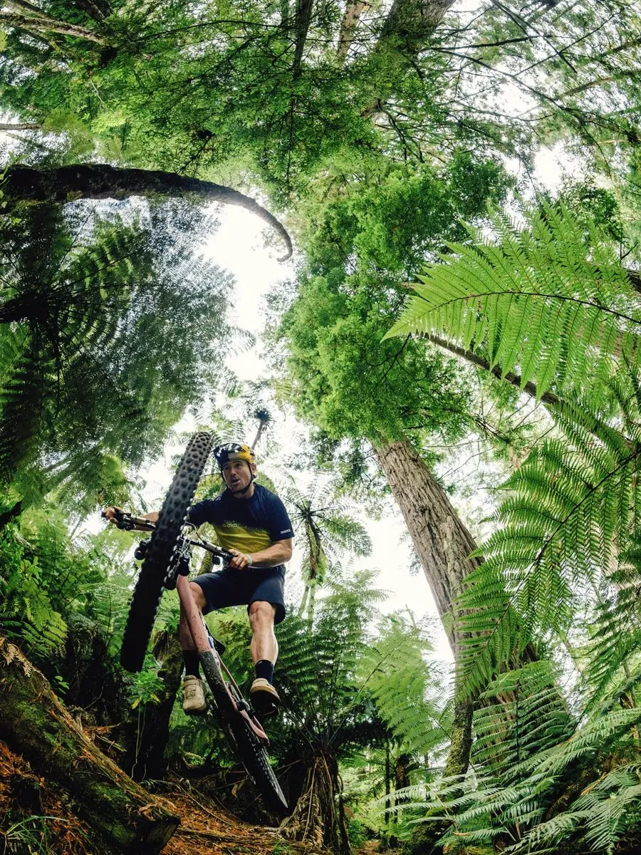 Ride Retreat: a rider wheelies through ferns and redwoods on a Rotorua trail