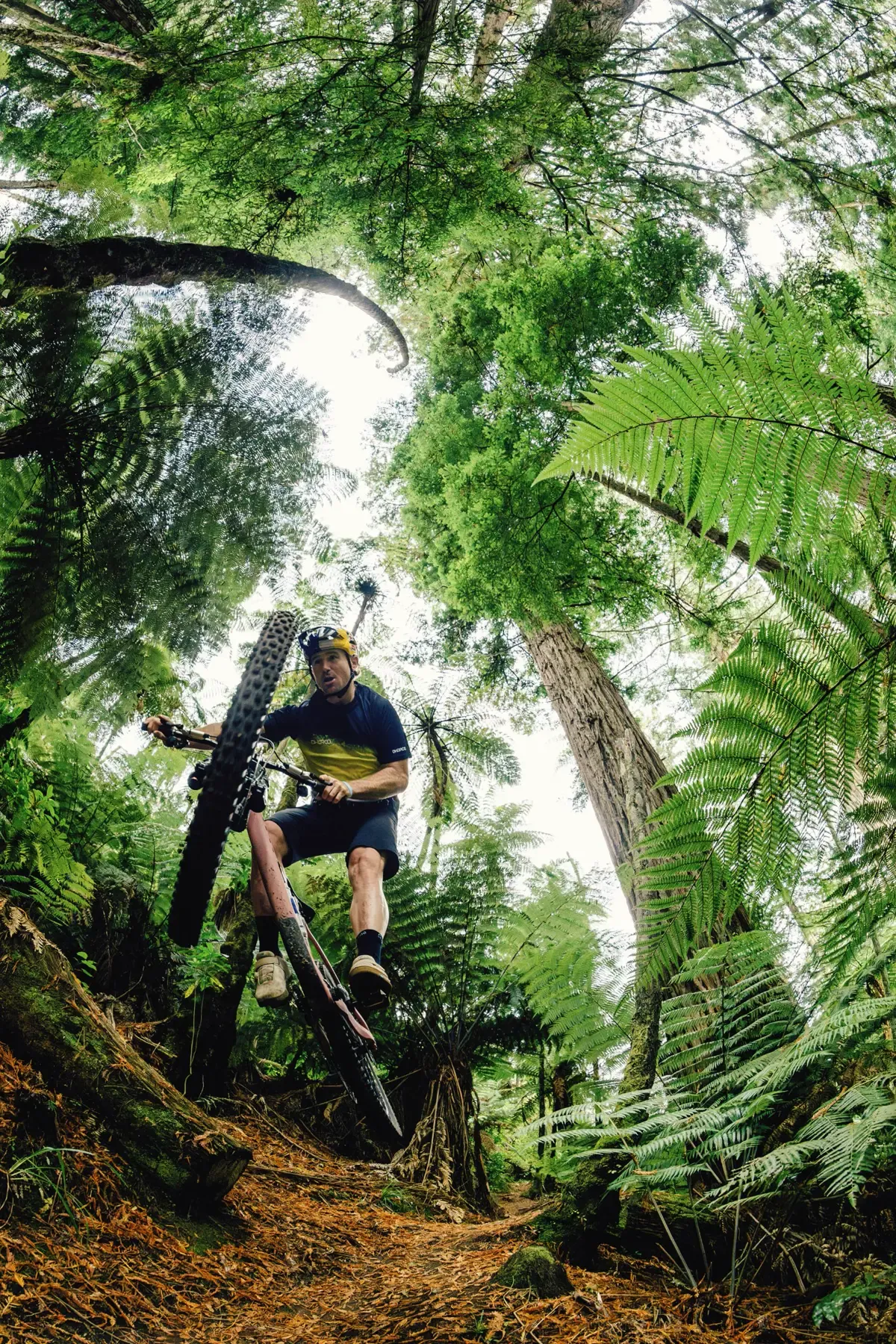 Rider wheelies through giant ferns and redwoods on a Rotorua trail